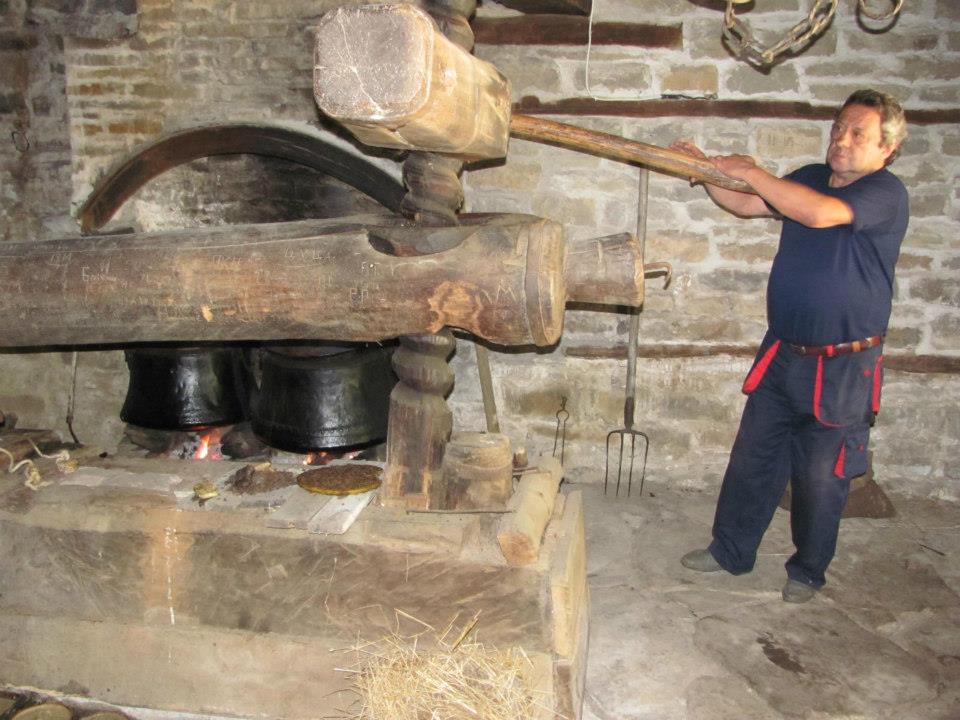 Празник в АИР „Боженци“ очаква гостите на резервата