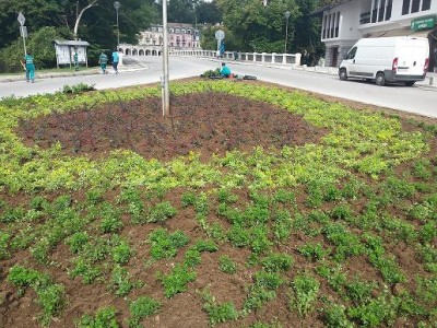 Подновяват растителната украса на ул. „Д-р Съйко Съев“ и в площите  пред ЦДГ „Зора“, ОУ „Васил Левски“ и ЦДГ „Мария Сиркова“