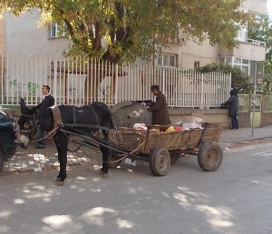 Нови мерки срещу каруците в Плевен ще предприеме местната управа