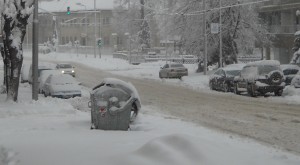 От община Плевен призоваха шофьорите да не паркират по бул. „Христо Ботев“