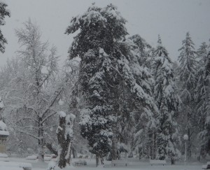 -14 градуса в Ловеч и – 15 градуса в Плевен