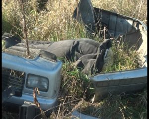 Двама от загиналите в катастрофата край Бръшляница са братя