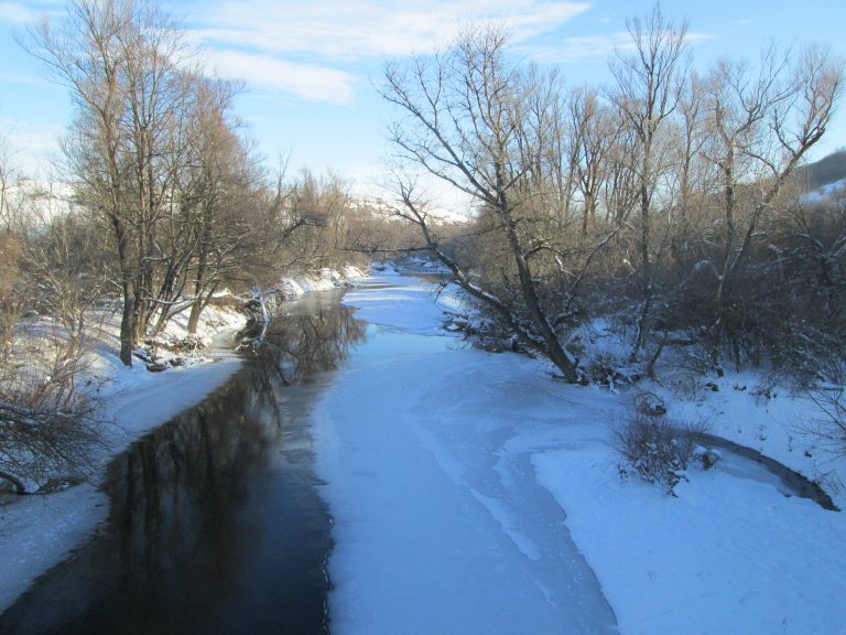Приключи 41-то среднозимно преброяване на водолюбивите птици на територията на РИОСВ-Плевен