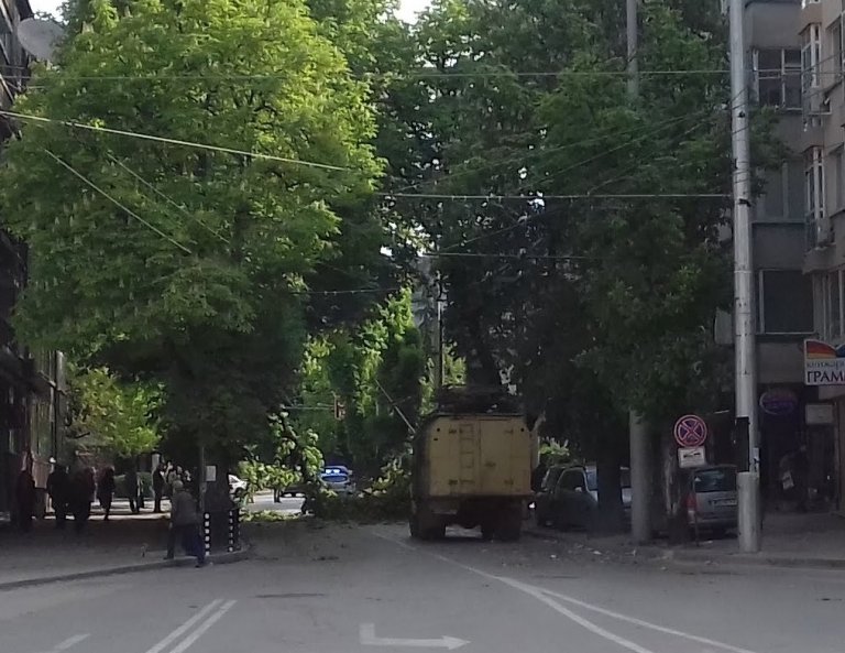 Заради паднало дърво тролеите за „Дружба“ вървят по ул. „Кирил и Методий“