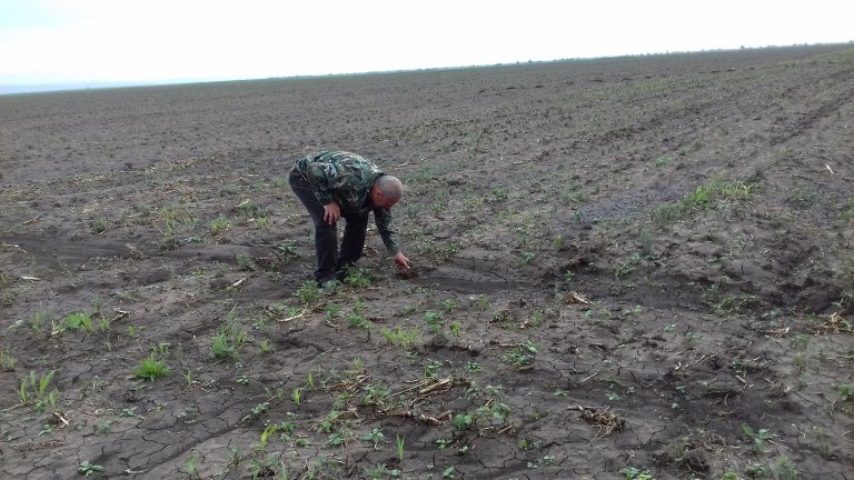 В Българене постепенно преодоляват последиците от опустошителната градушка