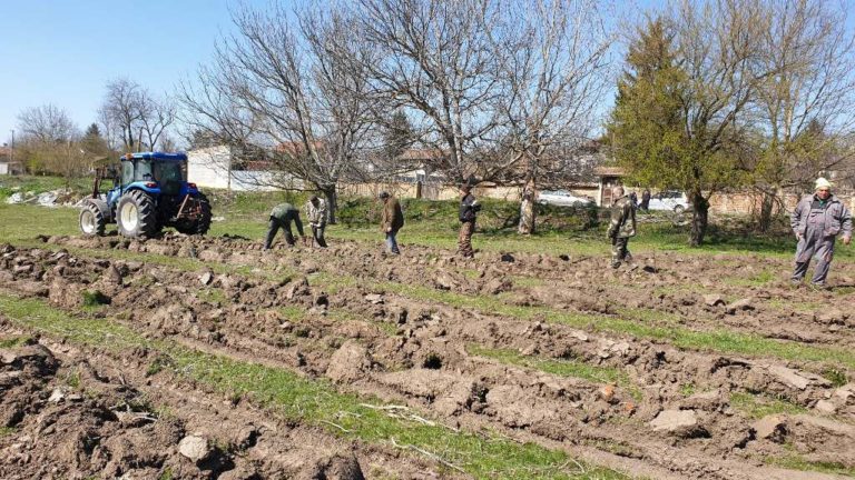 В община Плевен садят медоносни фиданки по повод Седмицата на гората
