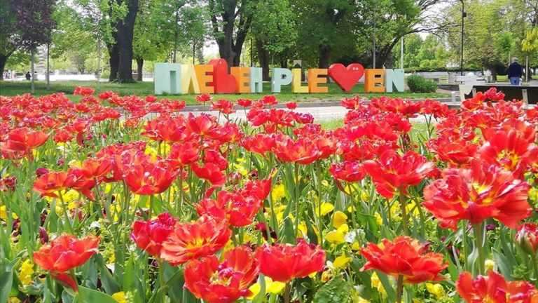 В Плевен се обсъжда въвеждане на забрана за приготвяне на зимнина и ползване на барбекю на открито