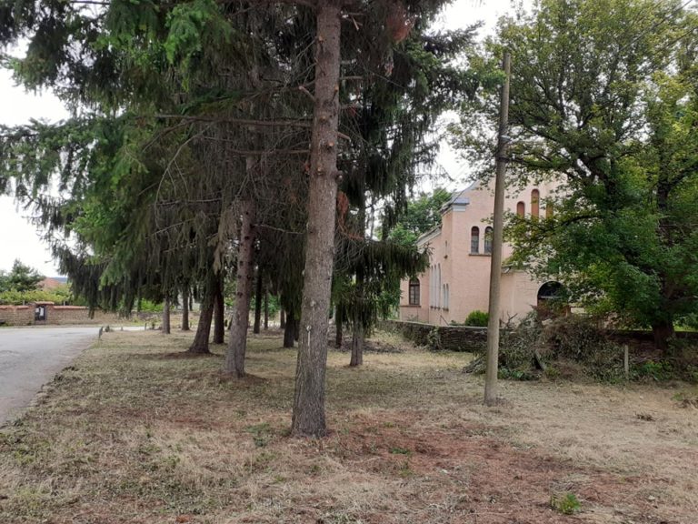 В село Горан доброволци почистиха около църквата
