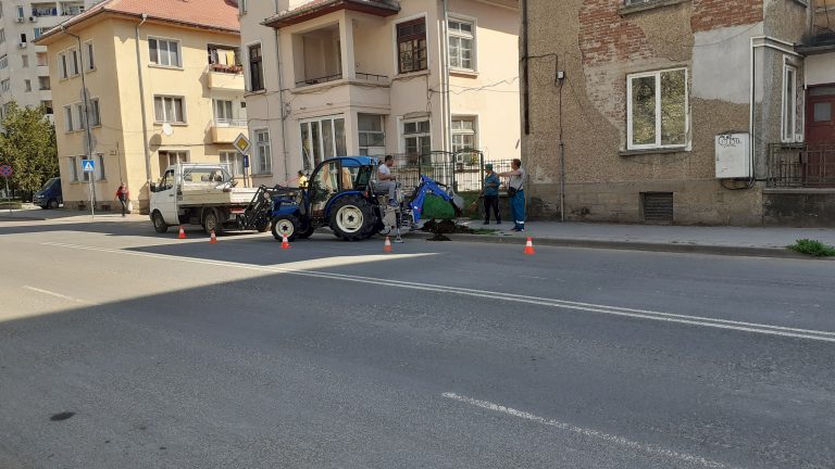 „Доброто в нас“- засаждат дървета в Ловеч