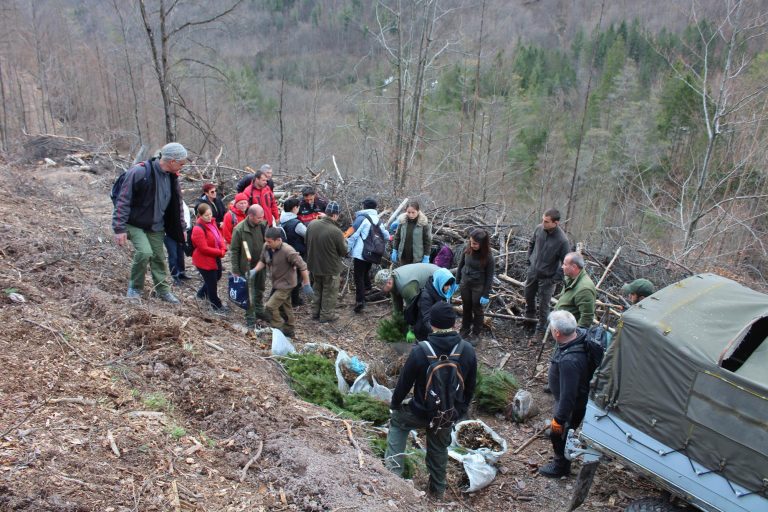 Залесиха близо 16 декара гора край Черни Вит