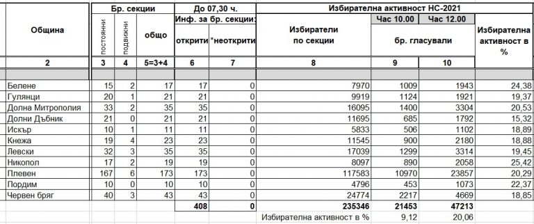 20,06 % избирателна активност в област Плевен към 12 часа