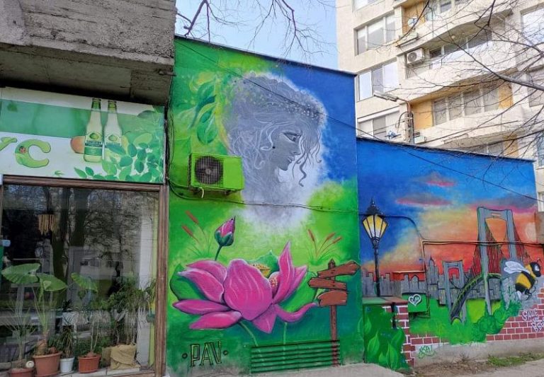 Изрисуваха трафопост в Плевен с призив за опазване на пчелите