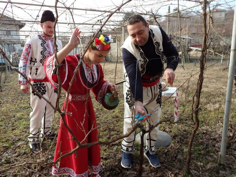 Празник на виното и любовта съчетаха в Караманово