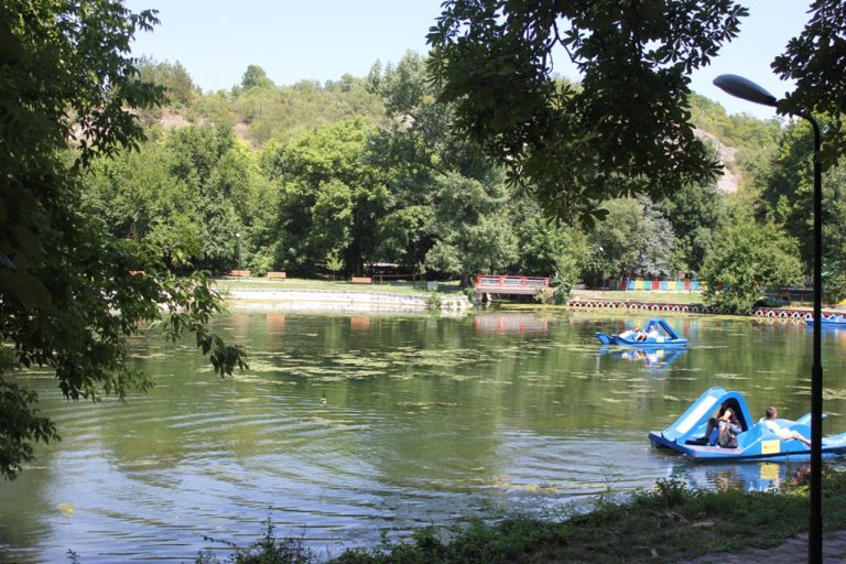 Ароматни водни лилии ще украсяват любими места за плевенчани