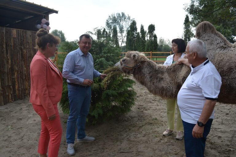 Камилата Дарко е най-новият обитател на Зоокът Павликени