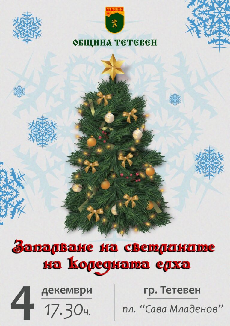 На 4 декември ще бъдат запалени светлините на коледната елха в Тетевен