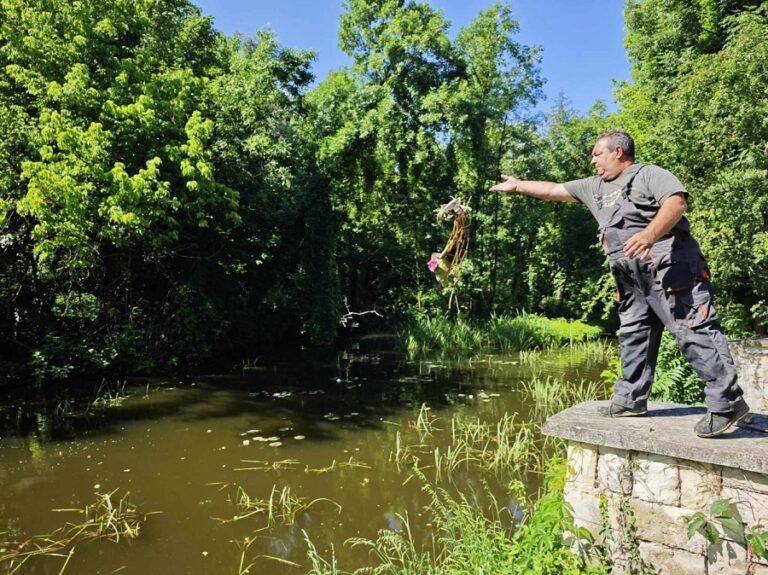 Започна засаждане на близо 200 ароматни водни лилии в парк „Кайлъка“