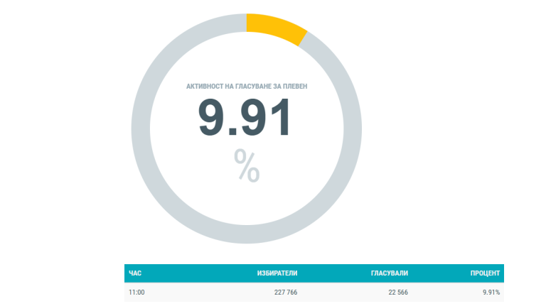 В област Плевен към 11:00 часа избирателната активност е 9,91%