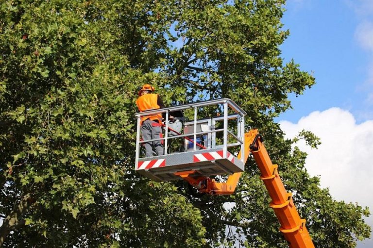 Временно ще е ограничено движението на 12 юли по част от ул. „Дойран“ в Плевен