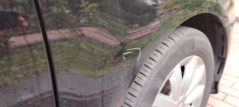Глутница кучета нападна автомобил в Ловеч