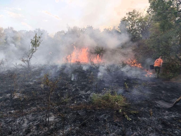 Пожари край Къкрина и Радювене