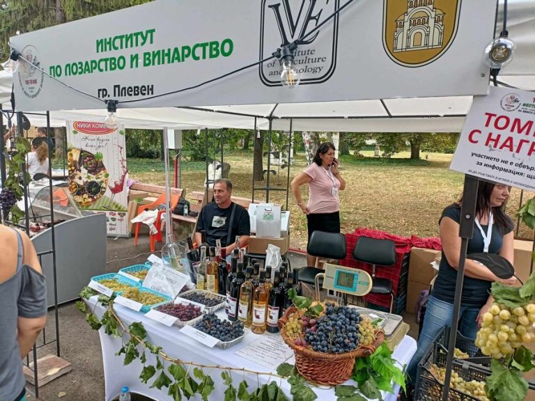 Третото издание на Фестивала на виното и фермерските деликатеси „Time for Wine“ ще се проведе в Плевен от 29 до 31 август