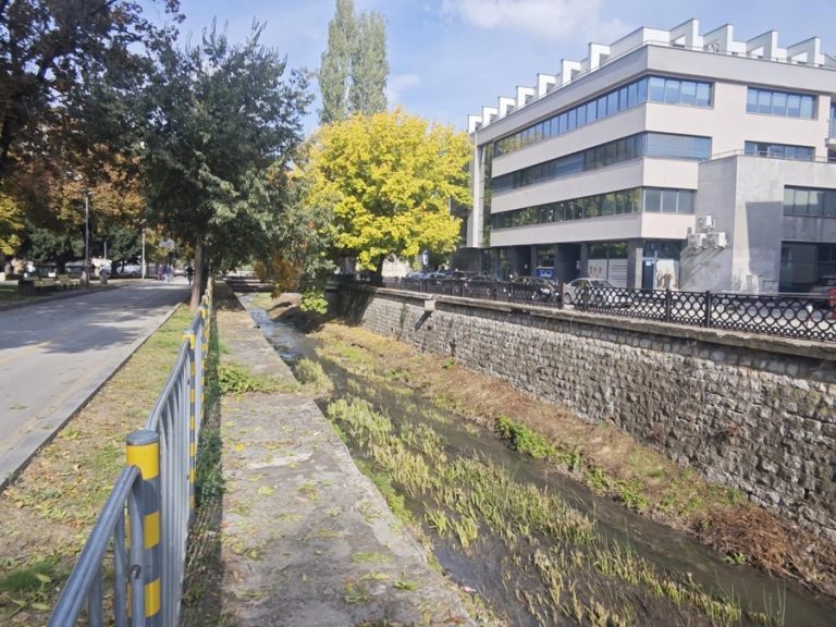 Стотици чували с битови отпадъци бяха извадени от коритото на река Тученишка при почистването ѝ