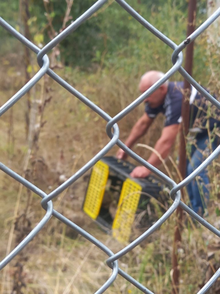 Ловците на СЛРД – Троян откриха сезона. Разселиха 400 фазана