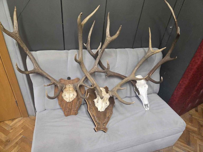 Двама са задържани в РУ Тетевен за бракониерство