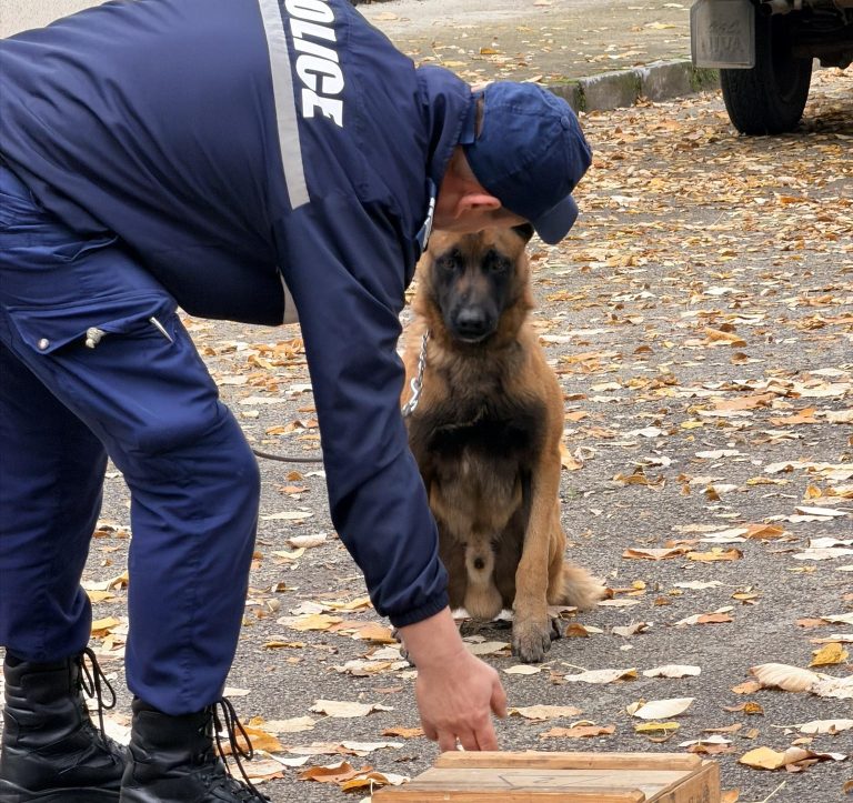 Урок с полицейското куче Аякс, което показа как открива наркотици