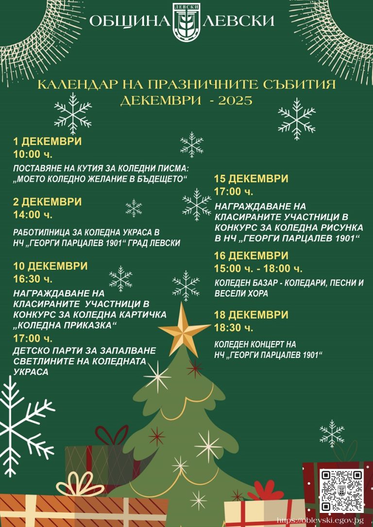 Светлините на празничната коледна украса в град Левски ще грейнат на 10 декември