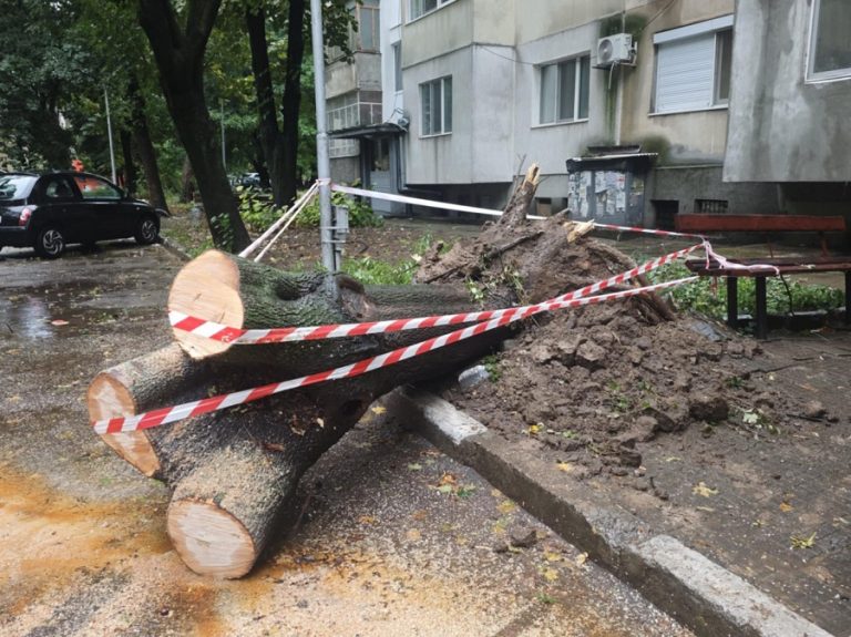 Силният вятър е причинил щети и затруднения в област Плевен
