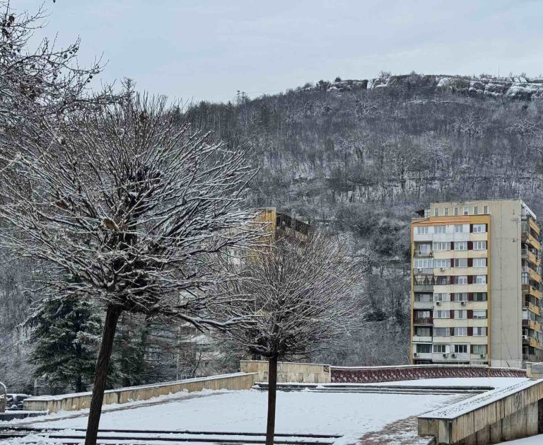 Община Ловеч: Зимната обстановка е нормална, снегопочистването е по график
