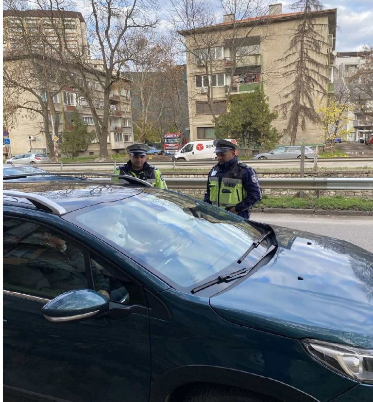 18 души са загинали при ПТП на територията на област Плевен през 2025 г.