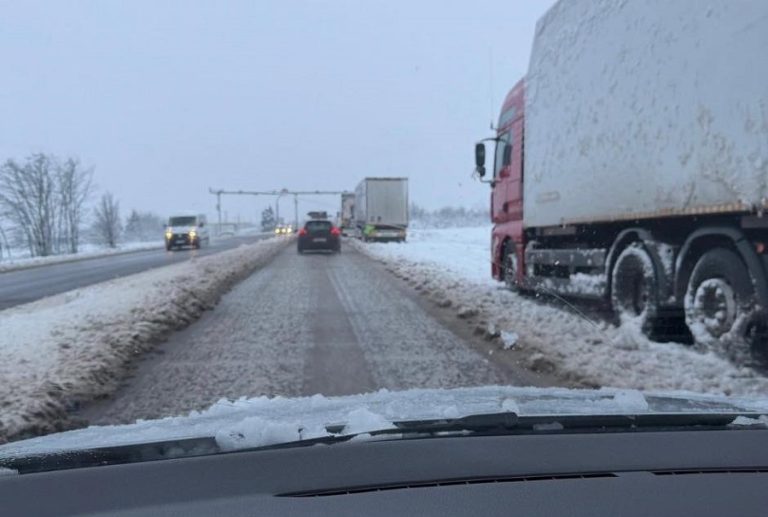 Десетки сигнали за паднали дървета и клони са подадени в Плевен