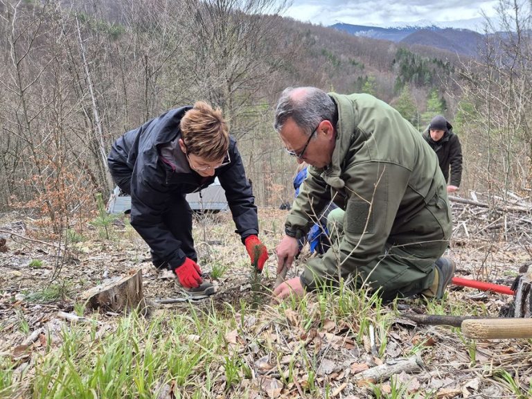 Община Тетевен с инициатива по засаждане на фиданки по случай Седмицата на гората