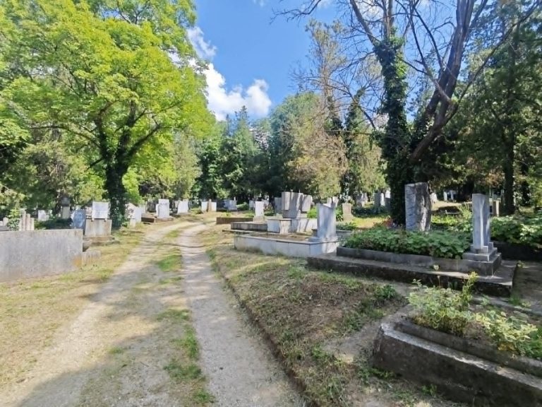 Община Плевен осигурява допълнителен транспорт за Черешова задушница