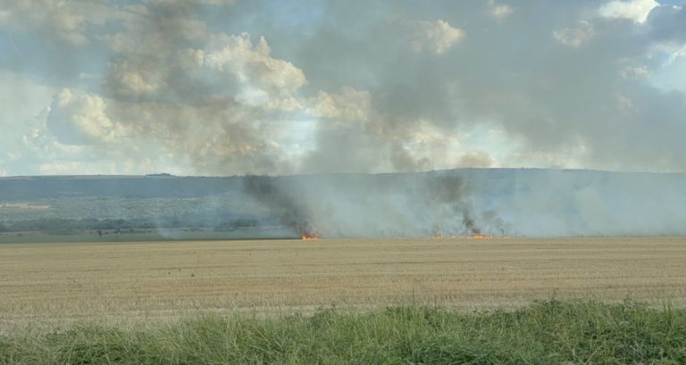 Пожар в района на село Александрово