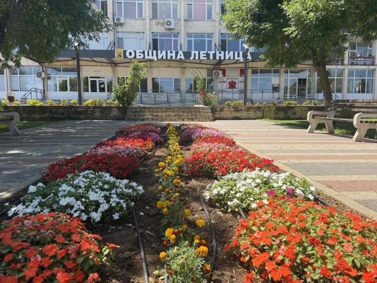 Прекратен е общественият превоз по линията Ловеч – Летница